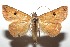  ( - 15-SRNP-100779)  @14 [ ] CreativeCommons  Attribution Non-Commercial Share-Alike (2016) Unspecified Guanacaste Dry Forest Conservation Fund