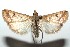  ( - 15-SRNP-100867)  @14 [ ] CreativeCommons  Attribution Non-Commercial Share-Alike (2016) Unspecified Guanacaste Dry Forest Conservation Fund
