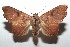  ( - 15-SRNP-100970)  @14 [ ] CreativeCommons  Attribution Non-Commercial Share-Alike (2016) Unspecified Guanacaste Dry Forest Conservation Fund