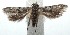  ( - 15-SRNP-101024)  @12 [ ] CreativeCommons  Attribution Non-Commercial Share-Alike (2016) Unspecified Guanacaste Dry Forest Conservation Fund
