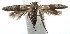  ( - 15-SRNP-101025)  @14 [ ] CreativeCommons  Attribution Non-Commercial Share-Alike (2016) Unspecified Guanacaste Dry Forest Conservation Fund