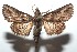  ( - 15-SRNP-101102)  @13 [ ] CreativeCommons  Attribution Non-Commercial Share-Alike (2016) Unspecified Guanacaste Dry Forest Conservation Fund