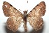  ( - 15-SRNP-101121)  @13 [ ] CreativeCommons  Attribution Non-Commercial Share-Alike (2016) Unspecified Guanacaste Dry Forest Conservation Fund