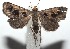  ( - 15-SRNP-101156)  @14 [ ] CreativeCommons  Attribution Non-Commercial Share-Alike (2016) Unspecified Guanacaste Dry Forest Conservation Fund