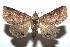  ( - 15-SRNP-101204)  @13 [ ] CreativeCommons  Attribution Non-Commercial Share-Alike (2016) Unspecified Guanacaste Dry Forest Conservation Fund