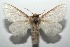  ( - 15-SRNP-101217)  @14 [ ] CreativeCommons  Attribution Non-Commercial Share-Alike (2016) Unspecified Guanacaste Dry Forest Conservation Fund