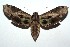  ( - 15-SRNP-101231)  @14 [ ] CreativeCommons  Attribution Non-Commercial Share-Alike (2016) Unspecified Guanacaste Dry Forest Conservation Fund
