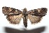  ( - 15-SRNP-101250)  @14 [ ] CreativeCommons  Attribution Non-Commercial Share-Alike (2016) Unspecified Guanacaste Dry Forest Conservation Fund