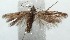  ( - 15-SRNP-101287)  @13 [ ] CreativeCommons  Attribution Non-Commercial Share-Alike (2016) Unspecified Guanacaste Dry Forest Conservation Fund