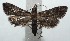  ( - 15-SRNP-101345)  @14 [ ] CreativeCommons  Attribution Non-Commercial Share-Alike (2016) Unspecified Guanacaste Dry Forest Conservation Fund