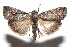  ( - 15-SRNP-101428)  @14 [ ] CreativeCommons  Attribution Non-Commercial Share-Alike (2016) Unspecified Guanacaste Dry Forest Conservation Fund