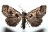  ( - 15-SRNP-101436)  @14 [ ] CreativeCommons  Attribution Non-Commercial Share-Alike (2016) Unspecified Guanacaste Dry Forest Conservation Fund