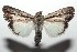  ( - 15-SRNP-101454)  @14 [ ] CreativeCommons  Attribution Non-Commercial Share-Alike (2016) Unspecified Guanacaste Dry Forest Conservation Fund