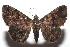  ( - 15-SRNP-101459)  @14 [ ] CreativeCommons  Attribution Non-Commercial Share-Alike (2016) Unspecified Guanacaste Dry Forest Conservation Fund