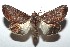  ( - 15-SRNP-101494)  @14 [ ] CreativeCommons  Attribution Non-Commercial Share-Alike (2016) Unspecified Guanacaste Dry Forest Conservation Fund