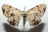  ( - 15-SRNP-101505)  @14 [ ] CreativeCommons  Attribution Non-Commercial Share-Alike (2016) Unspecified Guanacaste Dry Forest Conservation Fund