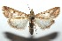  ( - 15-SRNP-101528)  @15 [ ] CreativeCommons  Attribution Non-Commercial Share-Alike (2016) Unspecified Guanacaste Dry Forest Conservation Fund