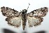  ( - 15-SRNP-101546)  @14 [ ] CreativeCommons  Attribution Non-Commercial Share-Alike (2016) Unspecified Guanacaste Dry Forest Conservation Fund