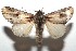  ( - 15-SRNP-101553)  @14 [ ] CreativeCommons  Attribution Non-Commercial Share-Alike (2016) Unspecified Guanacaste Dry Forest Conservation Fund