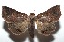 ( - 15-SRNP-101646)  @13 [ ] CreativeCommons  Attribution Non-Commercial Share-Alike (2016) Unspecified Guanacaste Dry Forest Conservation Fund