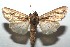  ( - 15-SRNP-101699)  @13 [ ] CreativeCommons  Attribution Non-Commercial Share-Alike (2016) Unspecified Guanacaste Dry Forest Conservation Fund