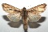  ( - 15-SRNP-101702)  @13 [ ] CreativeCommons  Attribution Non-Commercial Share-Alike (2016) Unspecified Guanacaste Dry Forest Conservation Fund