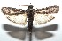  ( - 15-SRNP-101715)  @14 [ ] CreativeCommons  Attribution Non-Commercial Share-Alike (2016) Unspecified Guanacaste Dry Forest Conservation Fund