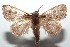  ( - 15-SRNP-101716)  @11 [ ] CreativeCommons  Attribution Non-Commercial Share-Alike (2016) Unspecified Guanacaste Dry Forest Conservation Fund