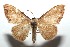  ( - 15-SRNP-101775)  @13 [ ] CreativeCommons  Attribution Non-Commercial Share-Alike (2016) Unspecified Guanacaste Dry Forest Conservation Fund