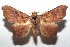  ( - 15-SRNP-101821)  @14 [ ] CreativeCommons  Attribution Non-Commercial Share-Alike (2016) Unspecified Guanacaste Dry Forest Conservation Fund