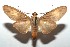  ( - 15-SRNP-101837)  @14 [ ] CreativeCommons  Attribution Non-Commercial Share-Alike (2016) Unspecified Guanacaste Dry Forest Conservation Fund