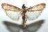  ( - 15-SRNP-101873)  @14 [ ] CreativeCommons  Attribution Non-Commercial Share-Alike (2016) Unspecified Guanacaste Dry Forest Conservation Fund