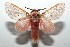  ( - 15-SRNP-101895)  @14 [ ] CreativeCommons  Attribution Non-Commercial Share-Alike (2016) Unspecified Guanacaste Dry Forest Conservation Fund