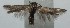  ( - 15-SRNP-101932)  @12 [ ] CreativeCommons  Attribution Non-Commercial Share-Alike (2016) Unspecified Guanacaste Dry Forest Conservation Fund