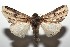  ( - 15-SRNP-102047)  @13 [ ] CreativeCommons  Attribution Non-Commercial Share-Alike (2016) Unspecified Guanacaste Dry Forest Conservation Fund