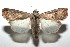  ( - 15-SRNP-102057)  @15 [ ] CreativeCommons  Attribution Non-Commercial Share-Alike (2016) Unspecified Guanacaste Dry Forest Conservation Fund