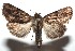  ( - 15-SRNP-102065)  @14 [ ] CreativeCommons  Attribution Non-Commercial Share-Alike (2016) Unspecified Guanacaste Dry Forest Conservation Fund