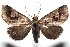 ( - 15-SRNP-102076)  @14 [ ] CreativeCommons  Attribution Non-Commercial Share-Alike (2016) Unspecified Guanacaste Dry Forest Conservation Fund