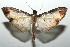  ( - 15-SRNP-102081)  @14 [ ] CreativeCommons  Attribution Non-Commercial Share-Alike (2016) Unspecified Guanacaste Dry Forest Conservation Fund