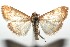  ( - 15-SRNP-102088)  @14 [ ] CreativeCommons  Attribution Non-Commercial Share-Alike (2016) Unspecified Guanacaste Dry Forest Conservation Fund