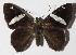  ( - 15-SRNP-1265)  @14 [ ] CreativeCommons  Attribution Non-Commercial Share-Alike (2016) Unspecified Guanacaste Dry Forest Conservation Fund