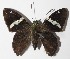 ( - 15-SRNP-1266)  @14 [ ] CreativeCommons  Attribution Non-Commercial Share-Alike (2016) Unspecified Guanacaste Dry Forest Conservation Fund