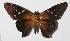  ( - 15-SRNP-1335)  @13 [ ] CreativeCommons  Attribution Non-Commercial Share-Alike (2016) Unspecified Guanacaste Dry Forest Conservation Fund
