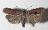  ( - 15-SRNP-156)  @14 [ ] CreativeCommons  Attribution Non-Commercial Share-Alike (2016) Unspecified Guanacaste Dry Forest Conservation Fund