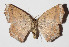  ( - 15-SRNP-20459)  @13 [ ] CreativeCommons  Attribution Non-Commercial Share-Alike (2016) Unspecified Guanacaste Dry Forest Conservation Fund