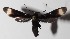  ( - 15-SRNP-30069)  @13 [ ] CreativeCommons  Attribution Non-Commercial Share-Alike (2016) Unspecified Guanacaste Dry Forest Conservation Fund