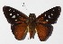  ( - 15-SRNP-30158)  @14 [ ] CreativeCommons  Attribution Non-Commercial Share-Alike (2016) Unspecified Guanacaste Dry Forest Conservation Fund