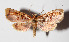  ( - 15-SRNP-30235)  @13 [ ] CreativeCommons  Attribution Non-Commercial Share-Alike (2016) Unspecified Guanacaste Dry Forest Conservation Fund