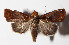  ( - 15-SRNP-30252)  @14 [ ] CreativeCommons  Attribution Non-Commercial Share-Alike (2016) Unspecified Guanacaste Dry Forest Conservation Fund