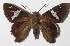  ( - 15-SRNP-30281)  @15 [ ] CreativeCommons  Attribution Non-Commercial Share-Alike (2016) Unspecified Guanacaste Dry Forest Conservation Fund